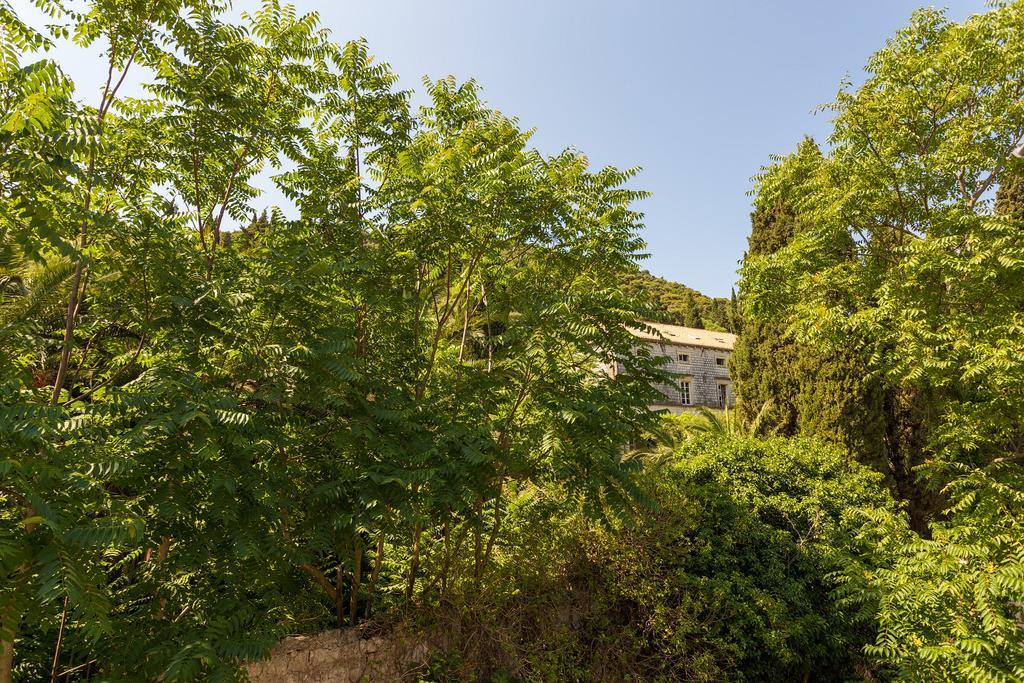 Apartment Luki דוברובניק מראה חיצוני תמונה